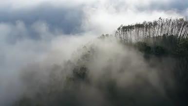 普洱森林云海清晨4k航拍环绕日出视频的预览图